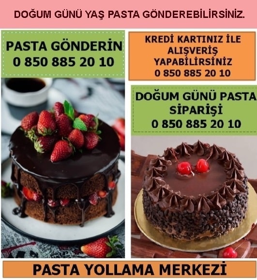 Kırşehir Yoğurtlu Çilekli Tatlı yaş pasta yolla sipariş gönder doğum günü pastası